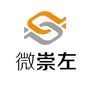商域微崇左ico