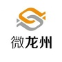 商域微龙州ico
