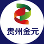 贵州金元ico