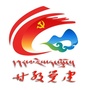 甘孜党建ico