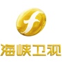 海峡卫视公众号ico