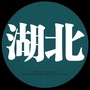 湖北精彩人生ico