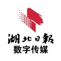 湖北日报数字传媒ico
