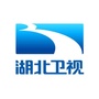 湖北卫视ico
