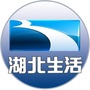 湖北生活百科公众号ico