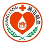 襄阳献血ico