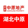 湖北中原ico