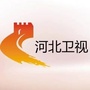 河北卫视公众号ico