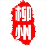 柳州城记ico