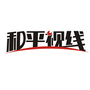 和平视线ico