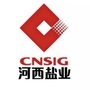 河西盐业ico