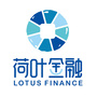 荷叶金融ico
