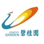 碧桂园在菏泽ico