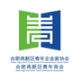 合肥高新区青企协 青商会ico