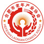 合肥市老年产业协会公众号ico