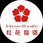 红花集团公众号ico