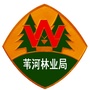 苇河林区资讯公众号ico