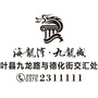 叶县海龙湾九龙城ico
