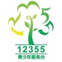 共青团海南12355ico