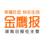 金鹰报ico