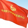 河南青少年素质发展中心ico