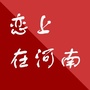 恋上在河南ico