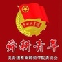 舜耕青年ico