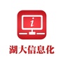 湖南大学信息化办ico