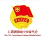 共青团海南中学委员会ico