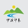 伊滨印象ico