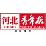 河北青年报保定播报公众号ico
