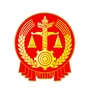 新乡市红旗区人民法院执行局ico