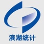 滨湖统计ico