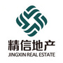 衡水精信地产ico
