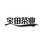 湖南会同宝田茶业ico