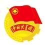 河套青年ico