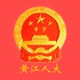 黄江人大ico
