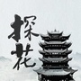 湖北探花ico