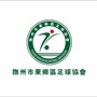 东乡区足球协会ico