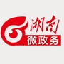湖南微政务ico