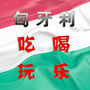 匈牙利吃喝玩乐ico