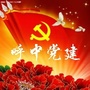 呼中党建ico