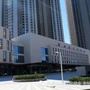 西岸文eico