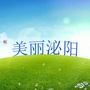 美丽泌阳公众号ico