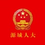 源城人大ico