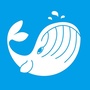 大鱼装修丨爱大鱼APPico