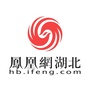 凤凰网湖北公众号ico