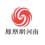 凤在河南ico