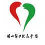 瓷都统战ico