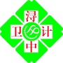 浔中卫计ico